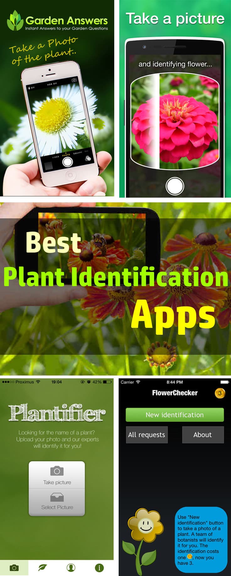 Best Plant Identification Apps | Balcony Garden Web