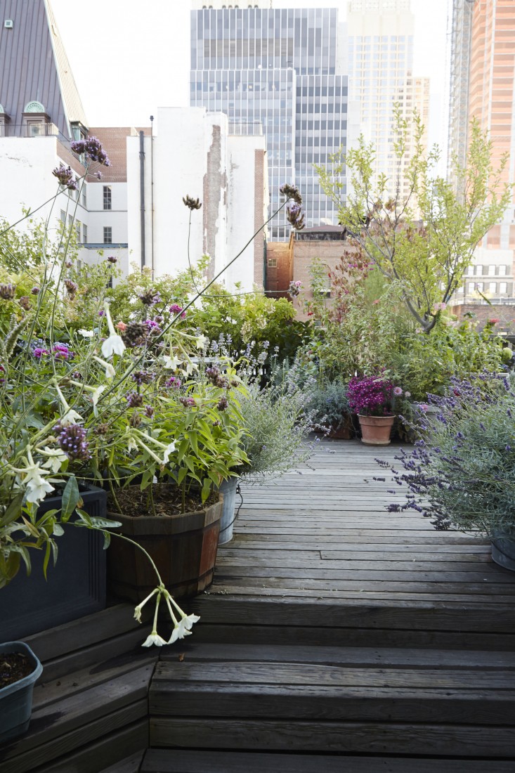 21 Beautiful Terrace Garden Images You should Look for Inspiration