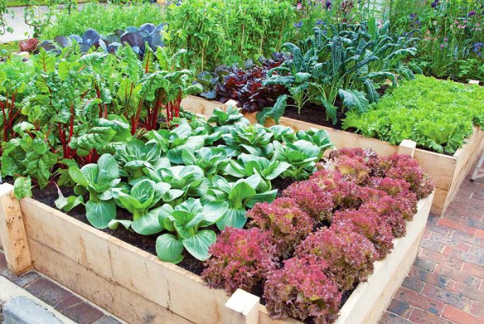 download vegetable gardening