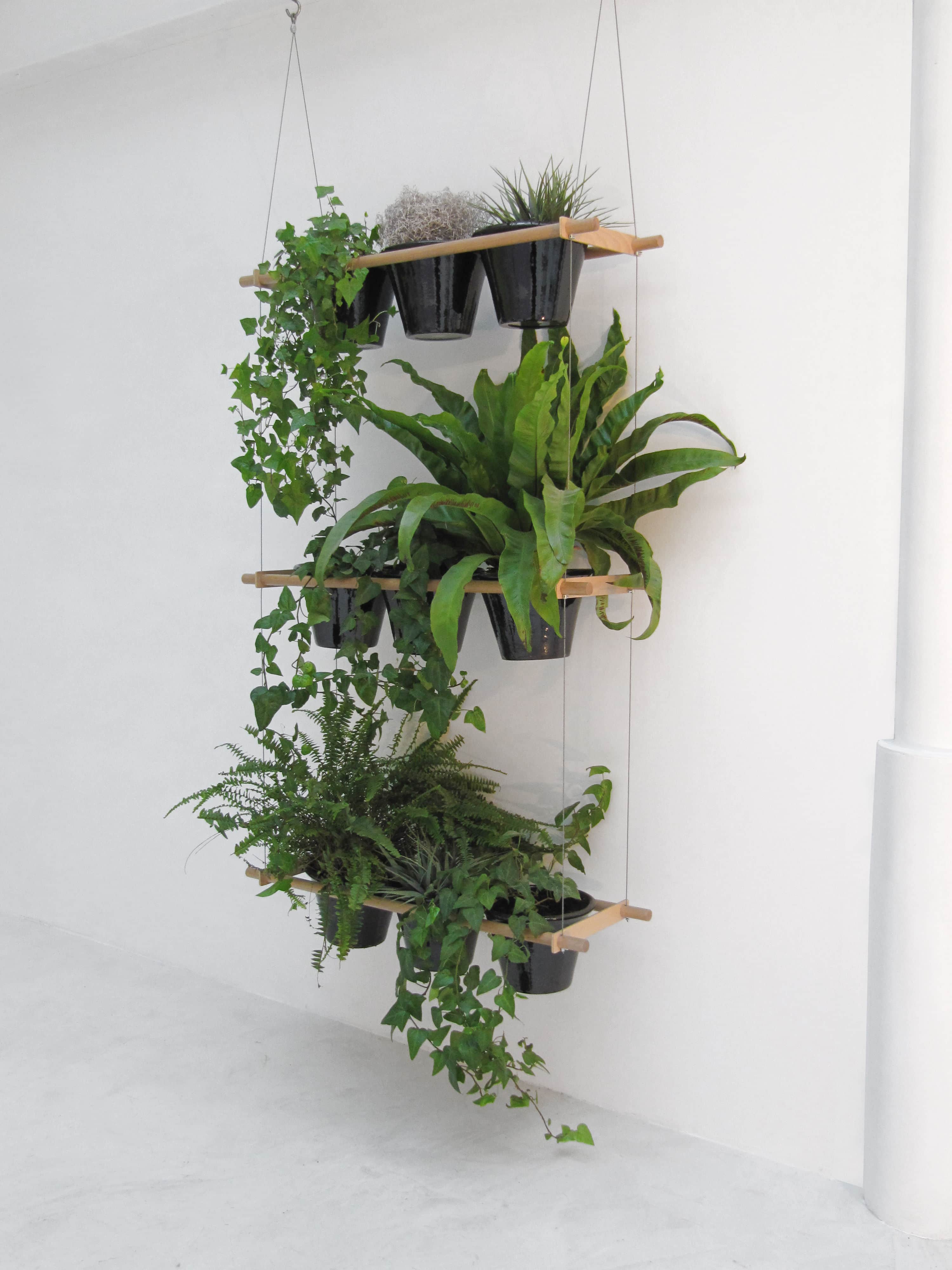 Unique House Plant Design Ideas New Decorating Ideas