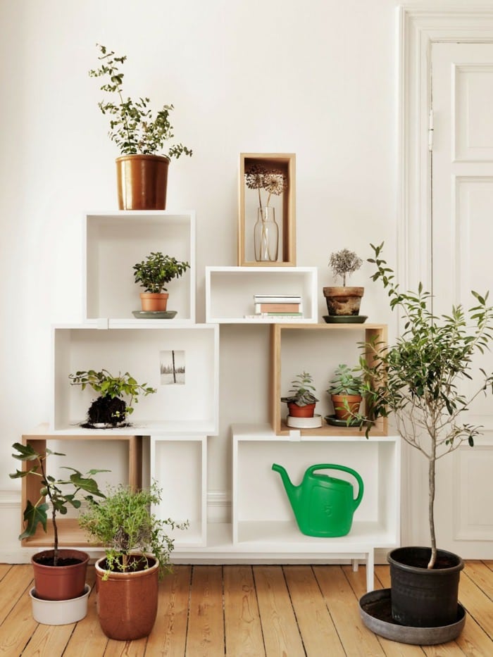 99 Great Ideas to display Houseplants | Indoor Plants Decoration ...