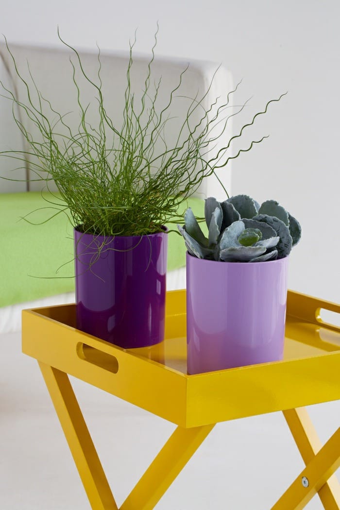 99 Great Ideas to display Houseplants | Indoor Plants ...
