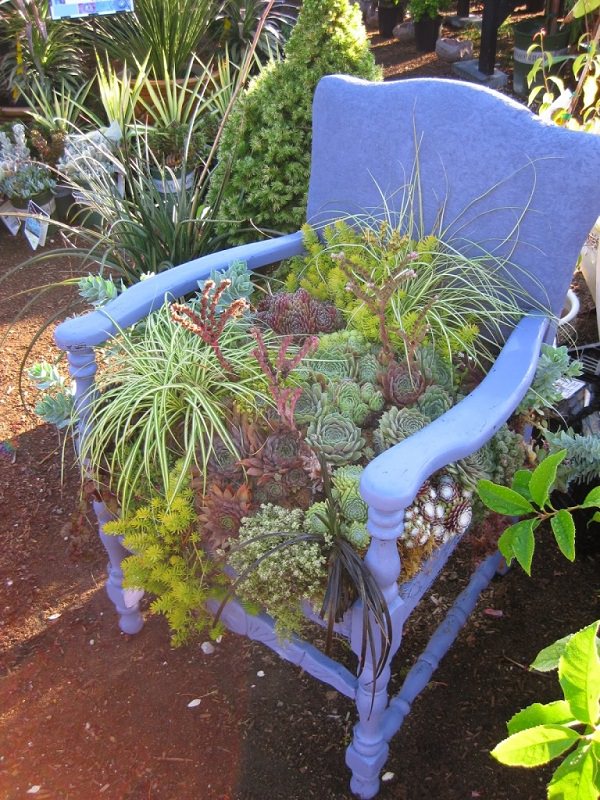 22 Cool Chair planter ideas for Home and Garden | Balcony Garden Web