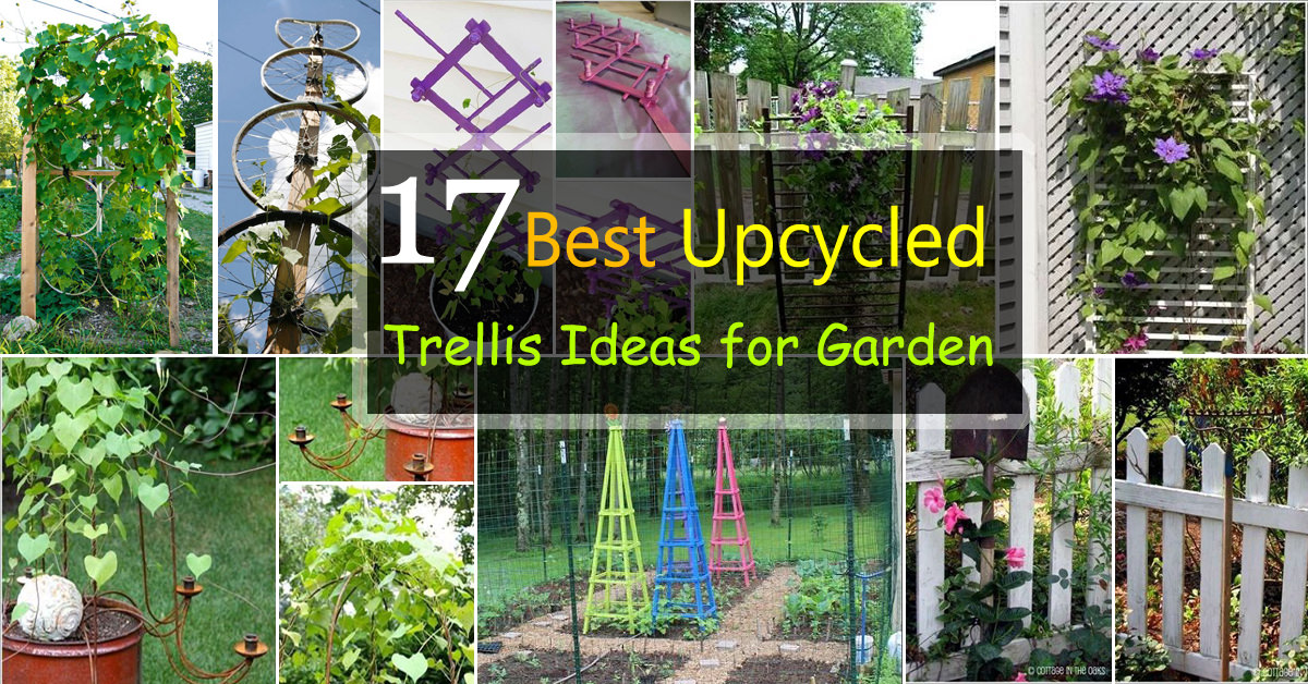 upcycled trellis ideas