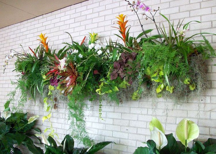 Best Plants For Vertical Garden Vertical Garden Plants Balcony