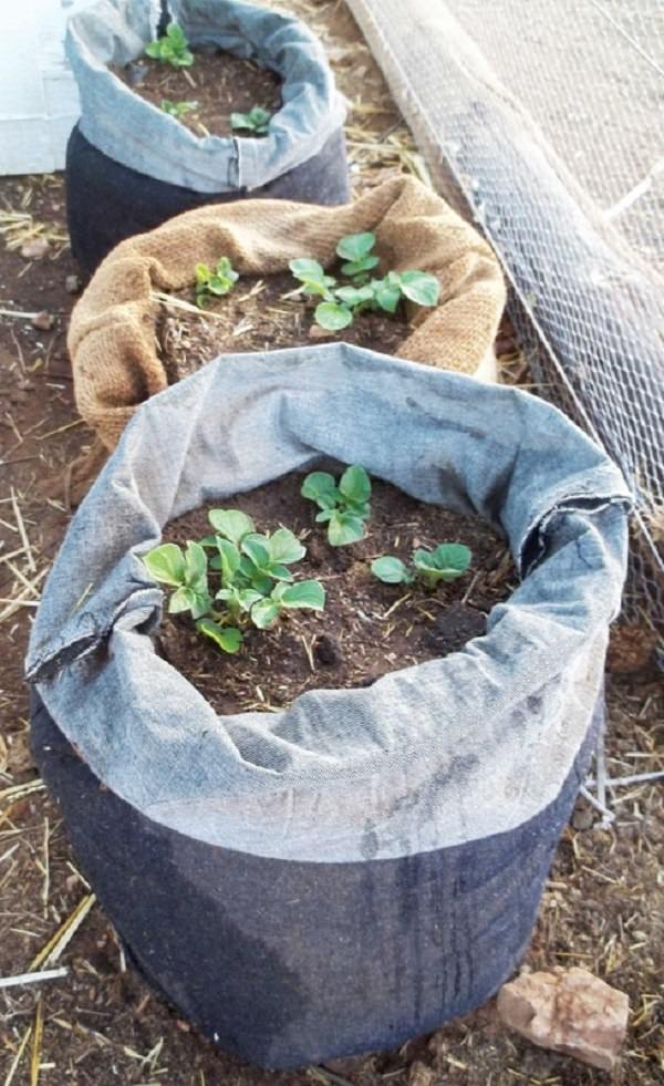 amazing garden grow bag - slubne-suknie