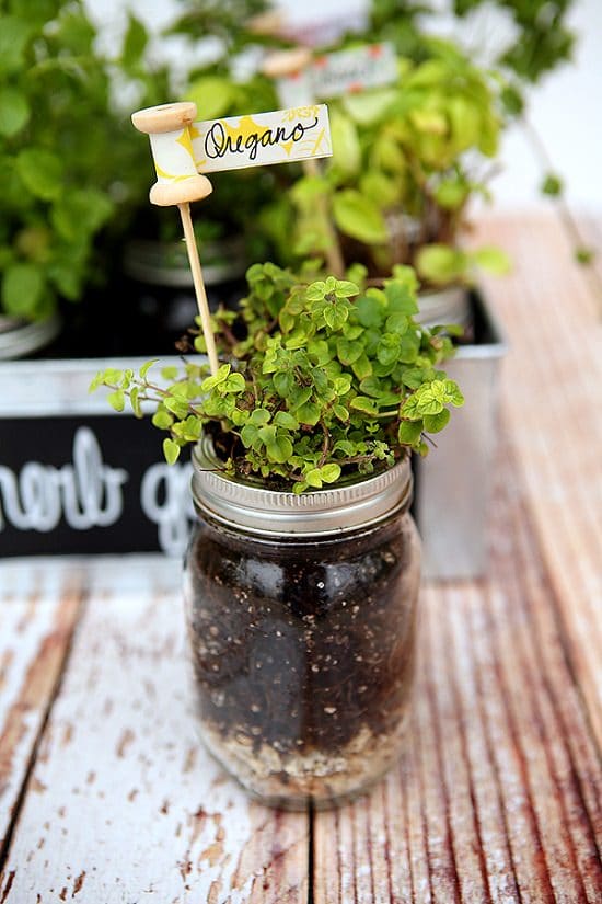 32 Cute DIY Plant Marker Ideas For Container Gardeners | Balcony Garden Web