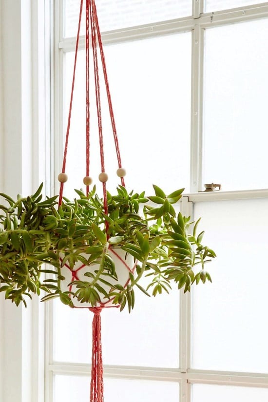 18 (FREE) DIY Crochet Plant Hanger Patterns | Balcony Garden Web