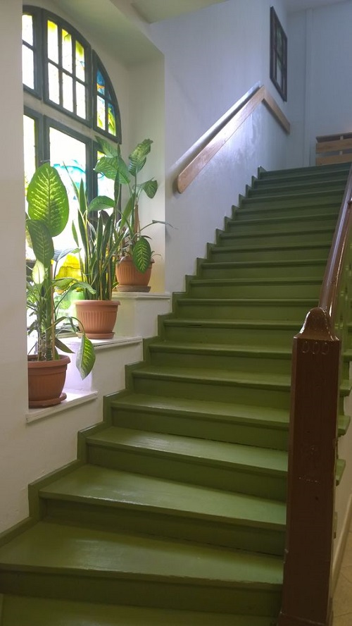 Garden on the Staircase Wall Ideas 7