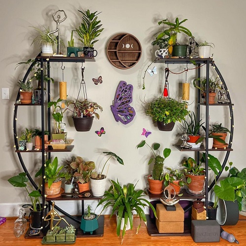 Garden on Metal Shelves