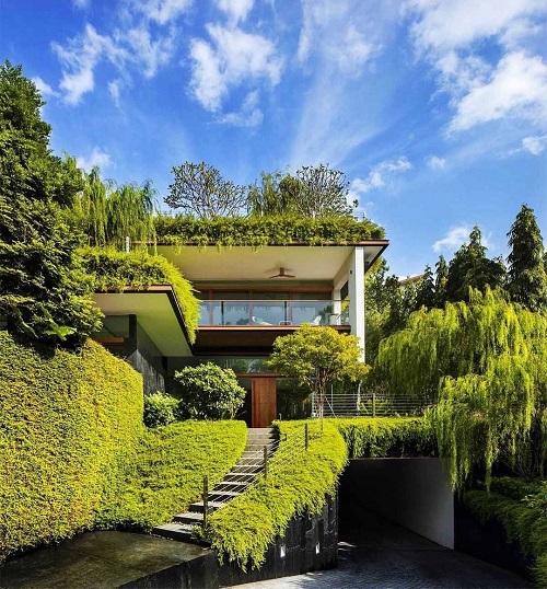 Living Walls on Backyard Garden