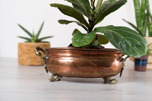 Wide Metal Planter 