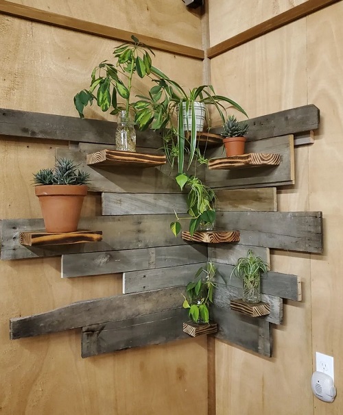 Wooden Shelves with Clay