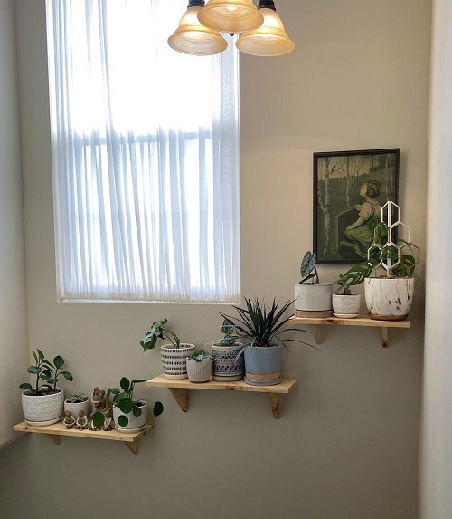 Plant Shelves on the Wall