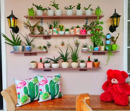 Shelf Garden of Mini Planters