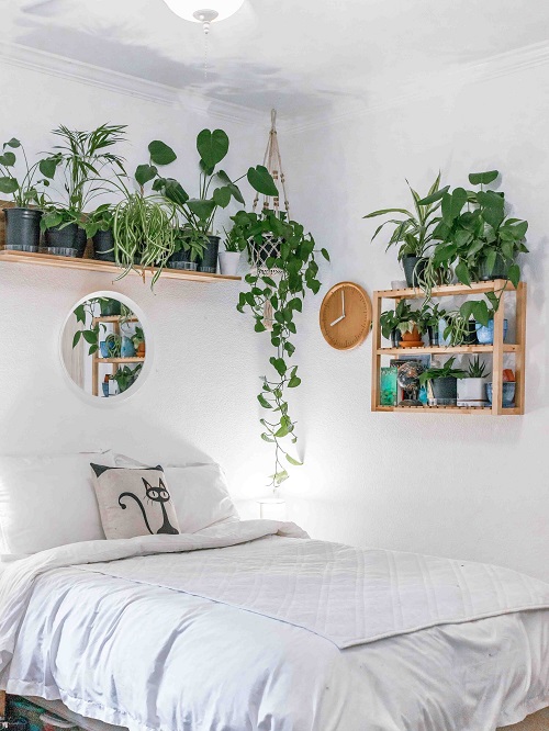 Bedroom Shelf Garden