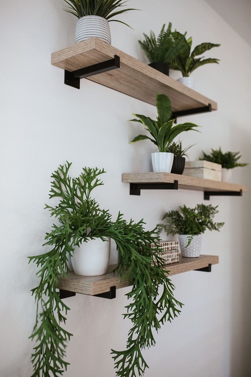 Wooden Shelves