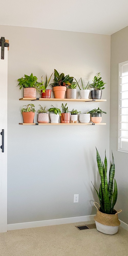 Small Pots on the Shelves