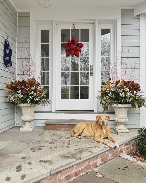 The Best Front Porch Planters for Winter 6