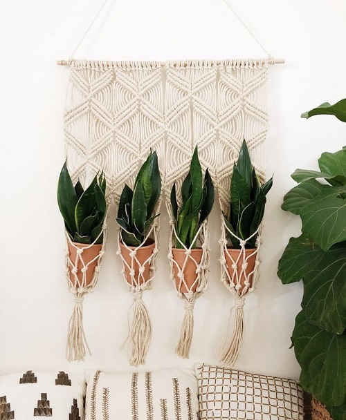 snake plant Macrame Hanging Pots