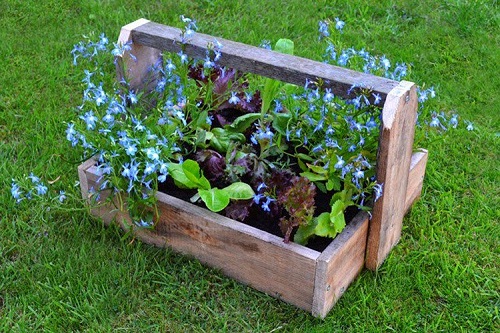 . Wooden Trug Containers with Handles 2