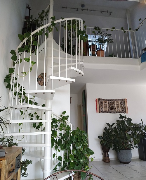 staircase ideas to Grow Pothos