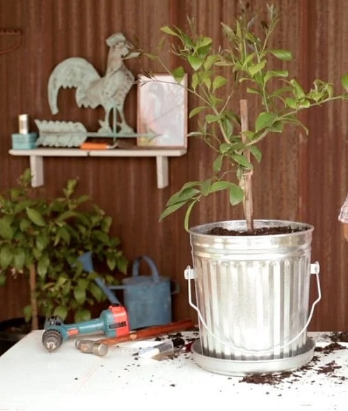 Dustbin Planter as container with handle