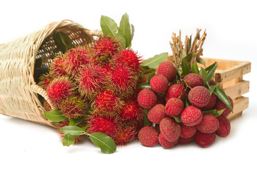 Lychee vs Rambutan | Difference Between Rambutan and Lychee 2