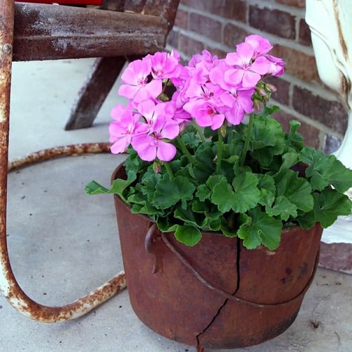 iron bucket as container with handle