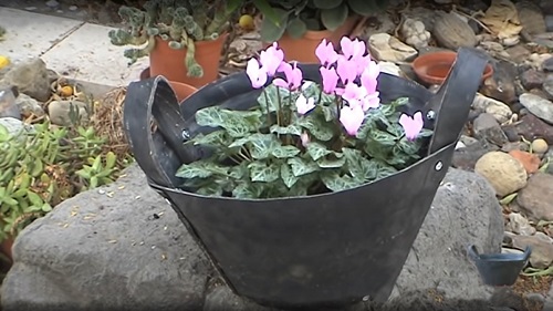 Recycle Tire Planter Bags