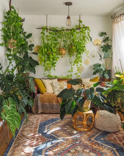 Indoor Vines that Give Jungle Vibes 11