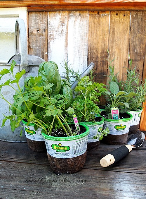 Porch Herb Garden Ideas 201