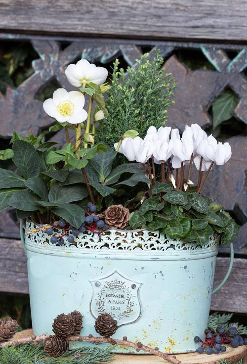 Flowers with White Bells