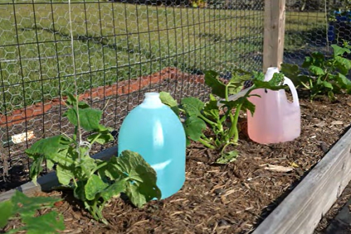 DIY Garden Watering Aid 3