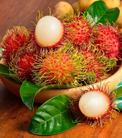 Growing Rambutan