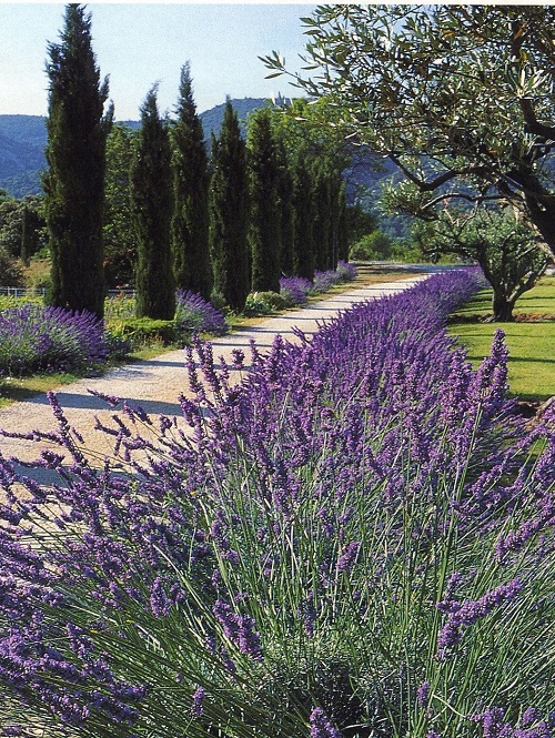 Italian Garden Ideas 13