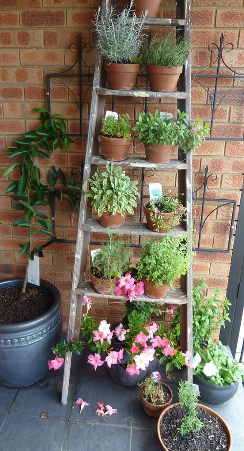 Ladder Herb Garden Ideas 15