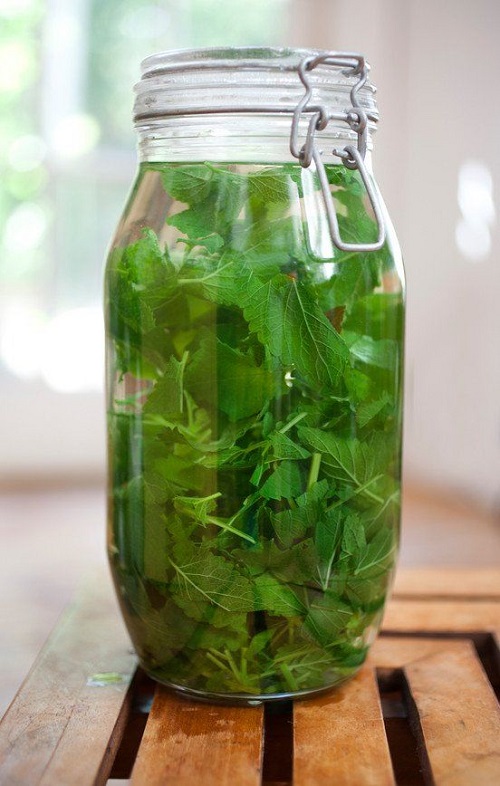 DIY Herb Cleaner Recipes 1