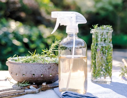 DIY Herb Cleaner Recipes 3