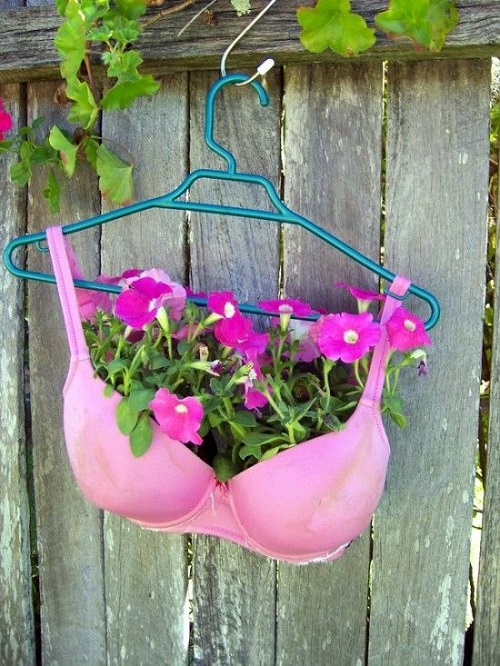 Bra Garden Ideas