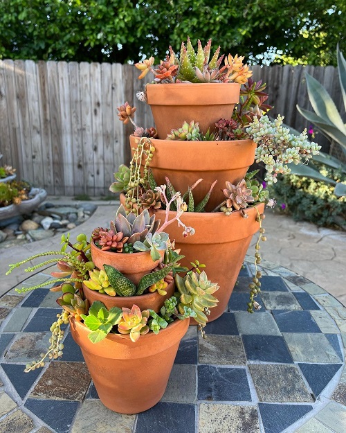 Succulent Tower Ideas 16