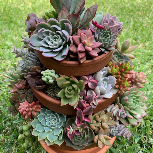 Succulent Tower Ideas 22