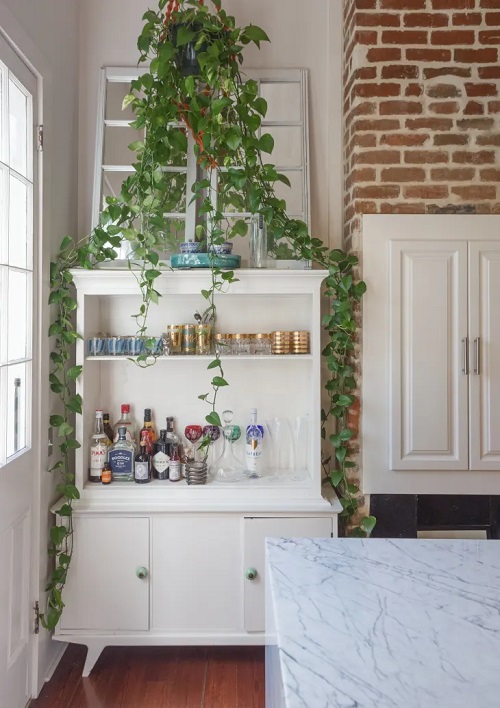 Best Ways to Display Indoor Vines in Style 9