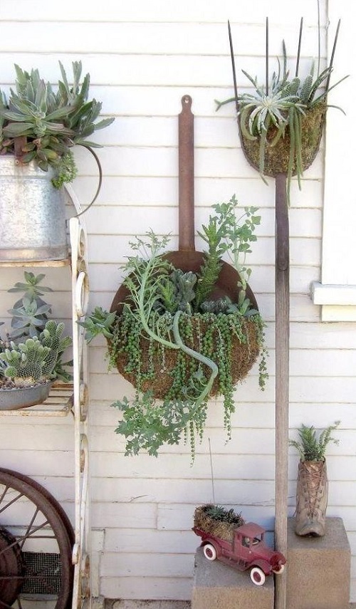 Fantastic Ideas on Succulents Planted in the Kitchen Items 3