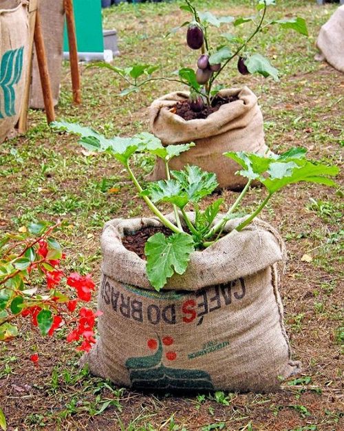 Burlap Projects for the Garden 7