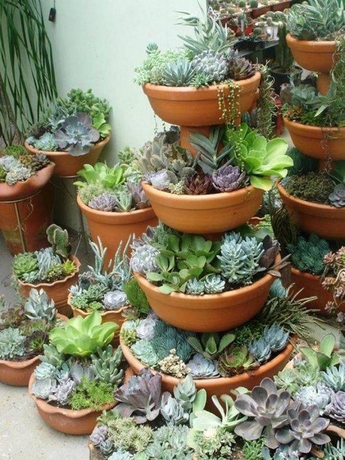 Succulent Tower Ideas 9