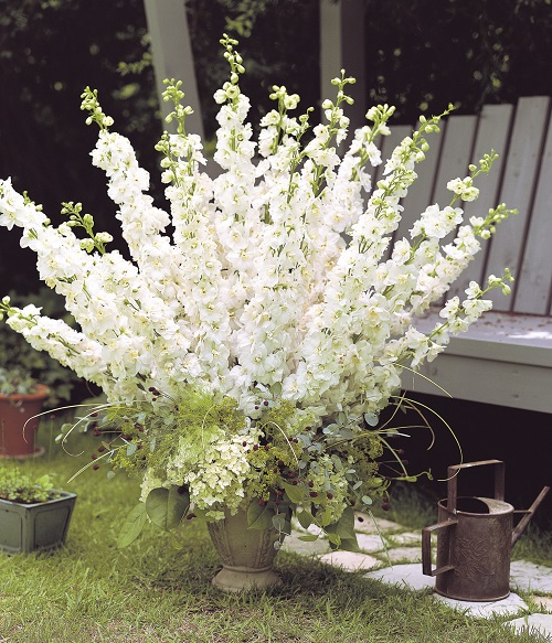 White Flowers for Funerals 11