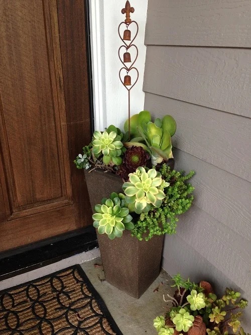 Succulent on the Entrance Ideas 10