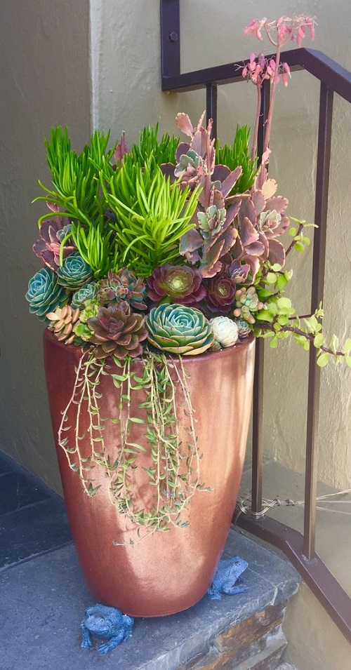 Succulent on the Entrance Ideas 40