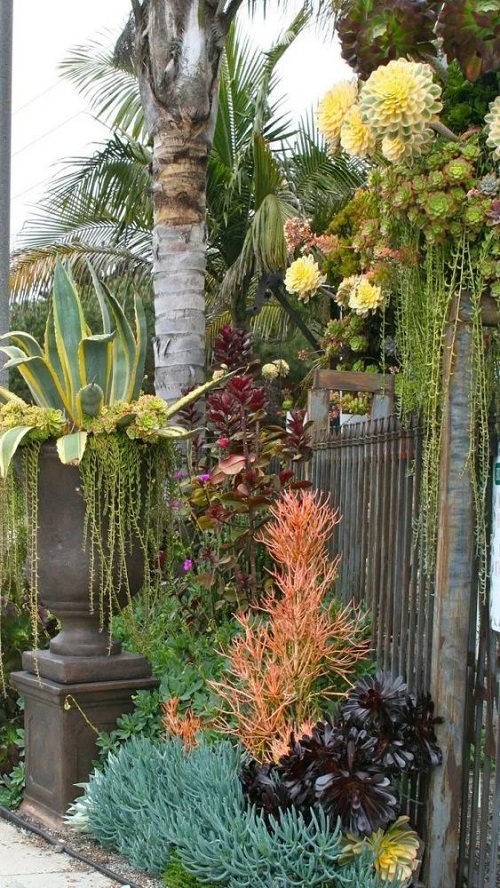 Succulent on the Entrance Ideas 50